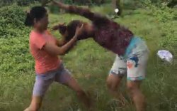 Video Perkelahian Remaja Putri di Konawe Viral di Medsos