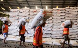 Masuk Panen Raya, Bapanas Setop Impor Beras Bulan Depan