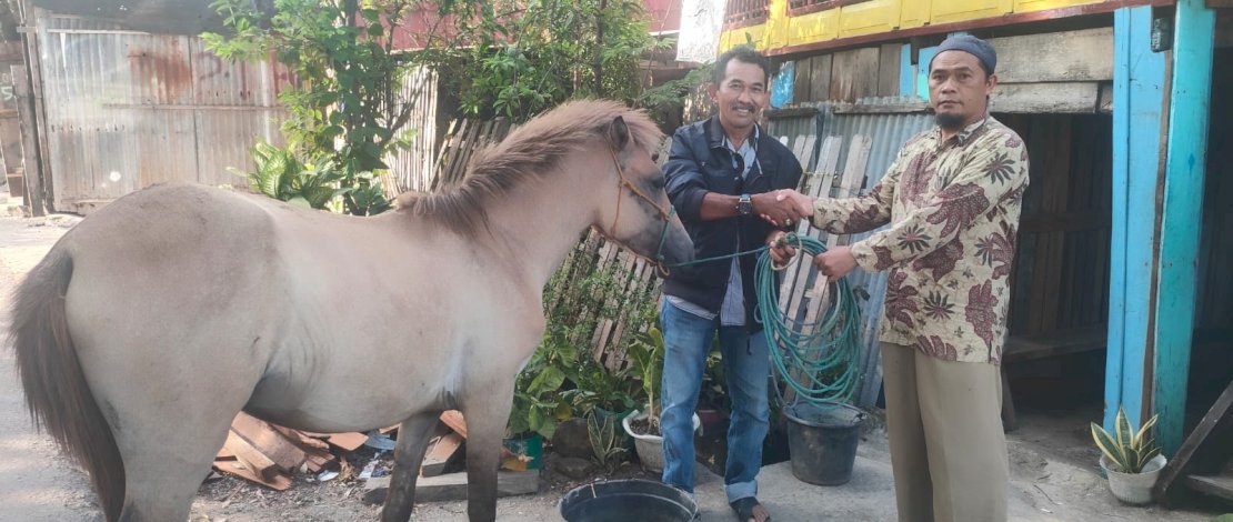 Kuda Mati yang Diterima Kelompok Bunga Kapasa Jeneponto Diganti, Dg Raja : Terima Kasih Pak Kabid