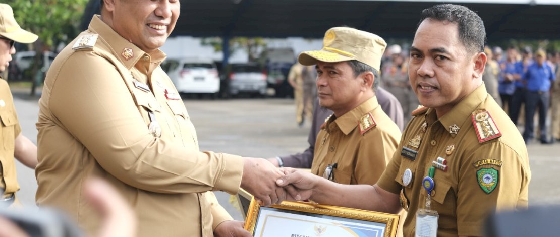 PAD Capai 112 Persen, Andi Rosman Diganjar Penghargaan Oleh Bupati Maros