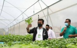 Tahun 2022, Ekspor Pertanian Tumbuh 10,52 Persen