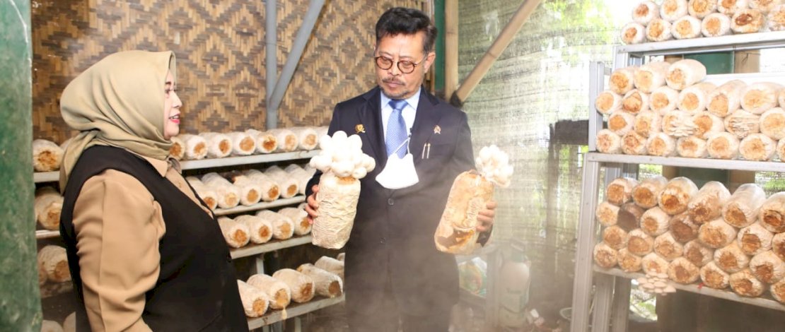 Mentan SYL saat meninjau integrated farming yang dikelola P4S Swen Inovasi Mandiri di Ciomas, Bogor, usai menghadiri pelantikan Rektor IPB Periode 2023-2028, Rabu, 18 Januari 2023.
