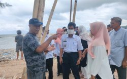 Geger Air Laut di Selayar Berubah Hijau