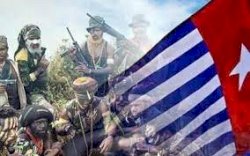 DPR Prihatin, TNI Terlibat Jual-Beli Senjata di Wilayah Konflik Papua