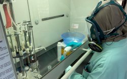 Hasil Uji Lab, Ikan Mati di Laut Hijau Selayar Aman Dikonsumsi