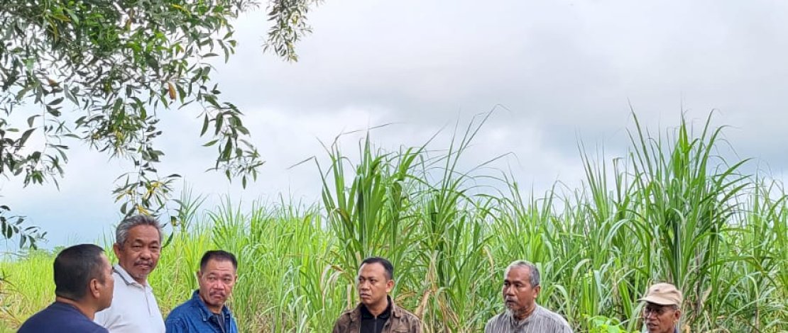 Institut Teknologi Pertanian (ITP) berencana membangun kawasan pertanian terpadu.