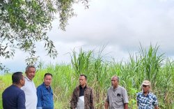 ITP Ajak Pemkab Kolaborasi Bangun Kawasan Pertanian Terpadu