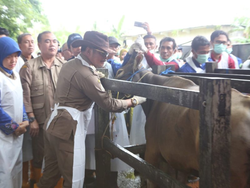 Mentan SYL Kick Off Pengendalian dan Penanggulangan PMK 2023 Serentak di 29 Provinsi