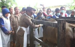 Mentan SYL Kick Off Pengendalian dan Penanggulangan PMK 2023 Serentak di 29 Provinsi