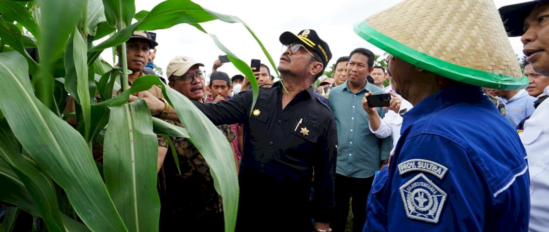 Mentan SYL melakukan penanaman sorgum pada lahan terintegrasi ayam buras di Desa Alebo, Kecamatan Konda, Kabupaten Konawe Selatan, Sulawesi Tenggara. Mentan SYL melakukan penanaman sorgum pada lahan terintegrasi ayam buras di Desa Alebo, Kecamatan Konda, Kabupaten Konawe Selatan, Sulawesi Tenggara.