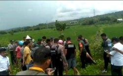 Diduga Disambar Kereta Api Trans Sulawesi, Warga Barru Ditemukan Tewas di Dekat Hamparan Sawah