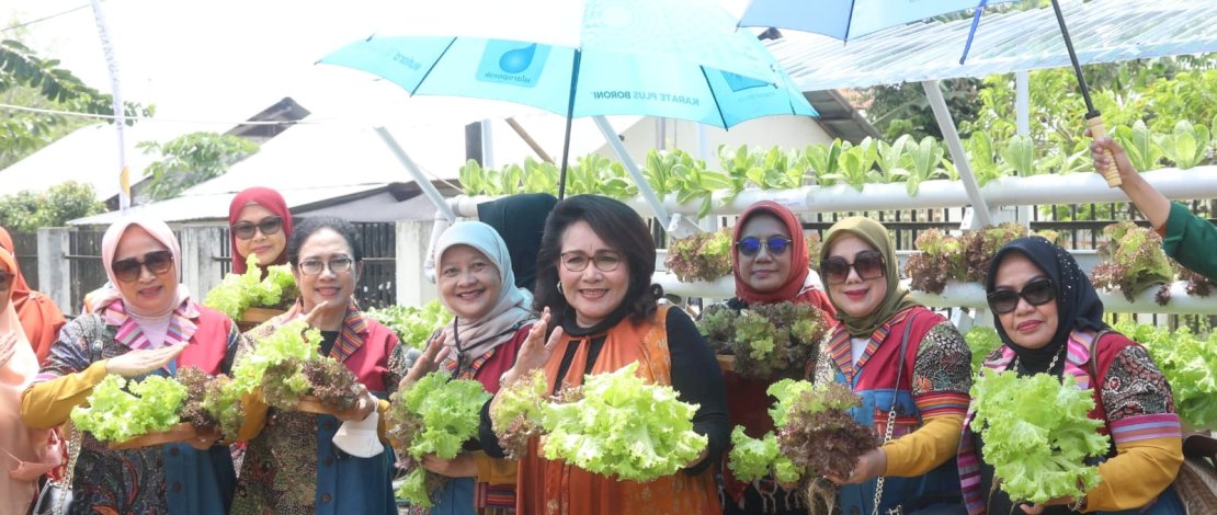 Ketua Bidang Pangan Organisasi Aksi Sosial Era Kabinet Indonesia Maju (Oase-KIM), Ayunsri Yasin Limpo, mendorong masyarakat Indonesia untuk memanfaatkan lahan sempit pekarangan rumah sebagai lahan produktif yang bisa menghasilkan nilai gizi sehat bersumber sayur dan buah-buahan.