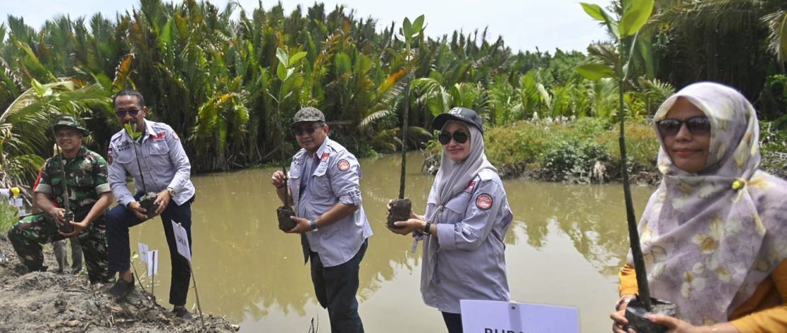 Bupati Luwu Utara, Indah Putri Indriani, melakukan penanaman mangrove di Desa Pattimang, Kecamatan Malangke, Kabupaten Luwu Utara, Sabtu, 4 Februari 2023. 
