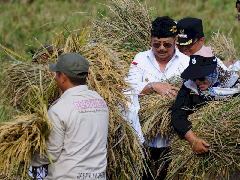 Panen Padi Kabupaten Bekasi Meningkat Tiga Persen, Sangga Jabar dan DKI Jakarta