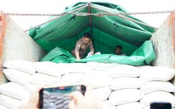 Produksi Melimpah, Pemprov Sumsel Kirim 494 Ton Beras ke Jakarta