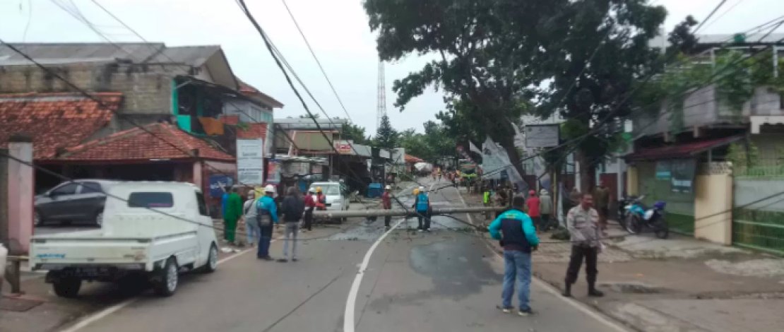 Angin Puting Beliung Terjang Depok, dari Pohon Tumbang hingga Rumah Rusak