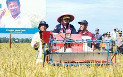 Panen Raya di Bengkulu, Mentan SYL Apresiasi Keberhasilan Petani Tingkatan Produksi