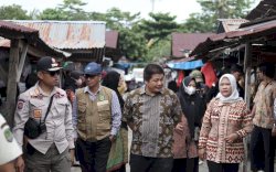 Pemkab Lutra dan Bea Cukai Tertibkan Rokok Ilegal, Ini Sasarannya
