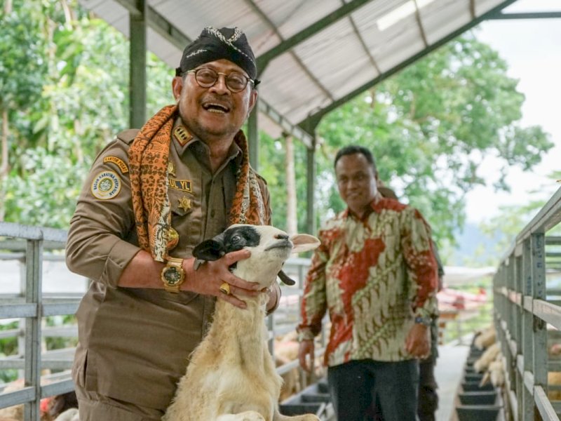 Mentan SYL Dorong Produksi Kambing dan Domba Kulon Progo Banjiri Kebutuhan Nasional
