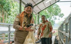Mentan SYL Dorong Produksi Kambing dan Domba Kulon Progo Banjiri Kebutuhan Nasional