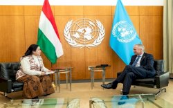 Bantuan Kemanusiaan Gaza Terancam Gegara Israel Blokir PBB Masuk Rafah