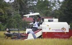 Bupati Indah Senang Penggunaan Ge-lite Korea, Tingkatkan Produksi Petani Lutra