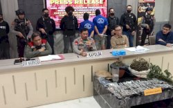 Disebut Obat, Pemilik Ladang di Bone Suruh Lansia Tanam Ganja