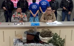 Pemilik Ladang Ganja di Bone Terancam Hukuman 20 Tahun