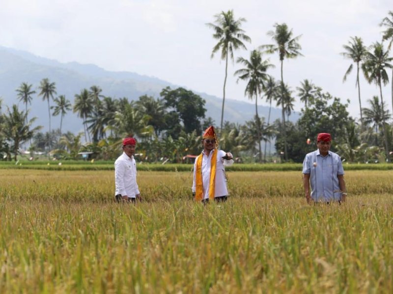 Jadi Wilayah Surplus Beras Nasional, Mentan SYL Dorong Sulteng Perluas Area Tanam