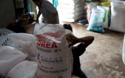 Kementan Tegaskan Stok Pupuk Bersubsidi Sesuai Permintaan