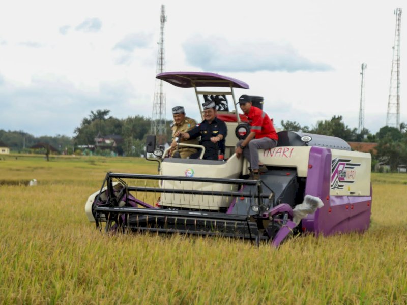 Mentan SYL Kawal Panen Raya Padi di Jateng, Produktivitas Hingga 7 Ton Per Hektar