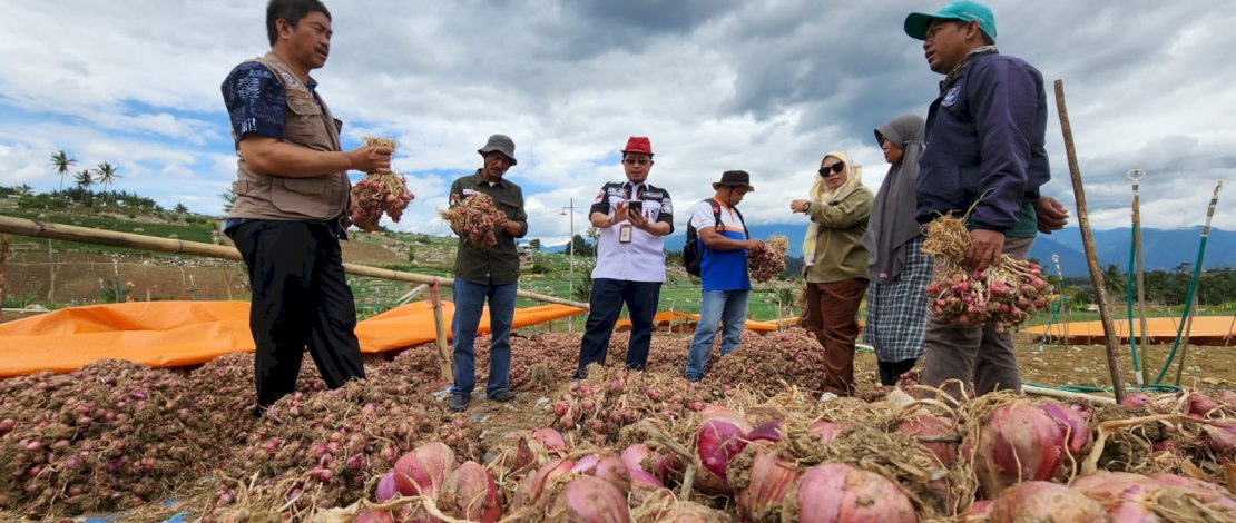 Kabupaten Enrekang bukan hanya menjadi penyuplai bawang merah di Kawasan Tengah dan Timur Indonesia, tapi sudah menyuplai bawang merah hingga ke Pulau Jawa dan Kalimantan. Kabupaten Enrekang bukan hanya menjadi penyuplai bawang merah di Kawasan Tengah dan Timur Indonesia, tapi sudah menyuplai bawang merah hingga ke Pulau Jawa dan Kalimantan.