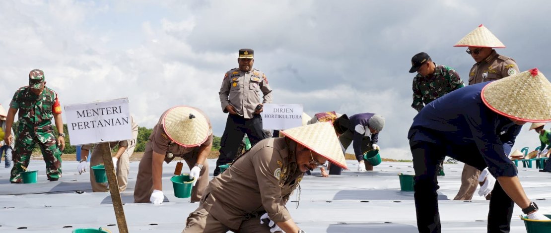 Menteri Pertanian Syahrul Yasin Limpo melakukan Kick Off Pengembangan Kawasan Pertanian Terpadu (KPT) di Desa Hariara Pintu, Kecamatan Harian, Kabupaten Samosir, Sumatera Utara, kemarin, Selasa, 28 Ferbruari 2023.