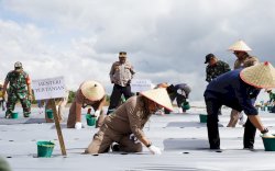 Mentan SYL Kick Off  Kawasan Pertanian Terpadu Samosir