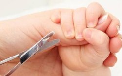 Soal Bayi Diduga Meninggal Akibat Salah Suntik, Ini Kata Komisi E DPRD Sulsel