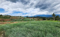 Kementan Berperan Besar Dalam Peningkatan Luas Panen 2022