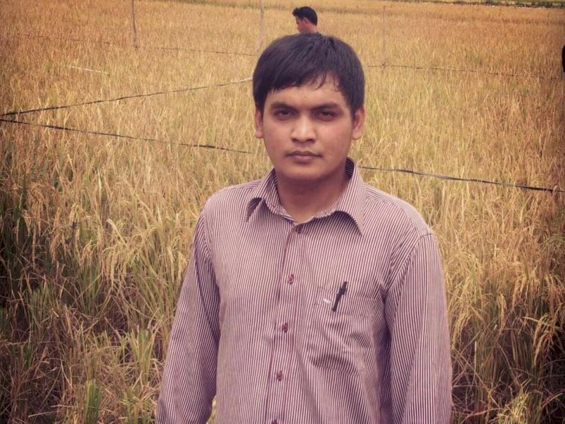 Bapanas Keliru Perkirakan Produksi Beras 2023 Akan Defisit, Ini Faktanya