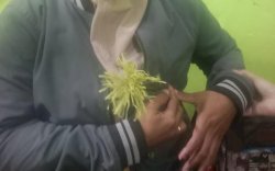 Seorang Wanita Jadi Korban Pembusuran, Demisioner Ketum HMI Cabang Gowa Raya Peri Herianto Beri Tanggapan