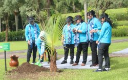 Dukung Penguatan Pangan Nasional, Ibu Negara dan Oase-KIM Tanam 1.000 Pohon Serentak di 34 Provinsi