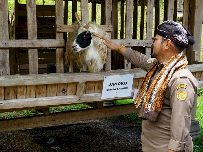 Kementan Dorong Setiap Daerah Kembangkan Model Closed-Loop Peternakan Kambing Domba