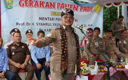 Mentan SYL Pastikan Ketersediaan Beras di DIY Melimpah