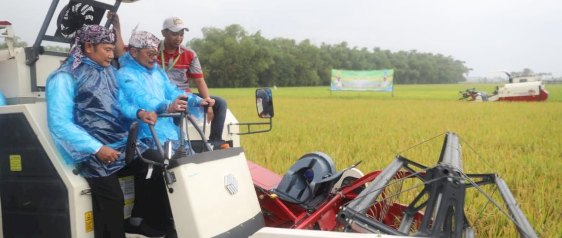 Mentan SYL saat melakukan Panen Raya Padi di Desa Sumberaji, Kecamatan Sukodadi, Kabupaten Lamongan, Rabu, 15 Februari 2023. Mentan SYL saat melakukan Panen Raya Padi di Desa Sumberaji, Kecamatan Sukodadi, Kabupaten Lamongan, Rabu, 15 Februari 2023.