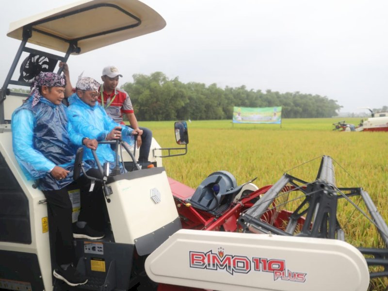 Panen Raya Padi di Lamongan Capai 7,3 Ton Perhektar