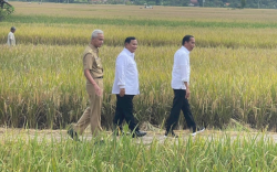 Hasto PDIP Ungkap Nama-Nama yang Didukung Jokowi Jadi Capres