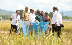 Usai Panen Bersama Presiden, Mentan SYL Canangkan Percepatan Tanam