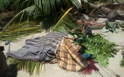 IRT di Bone Tewas Tertimpa Pohon Tumbang