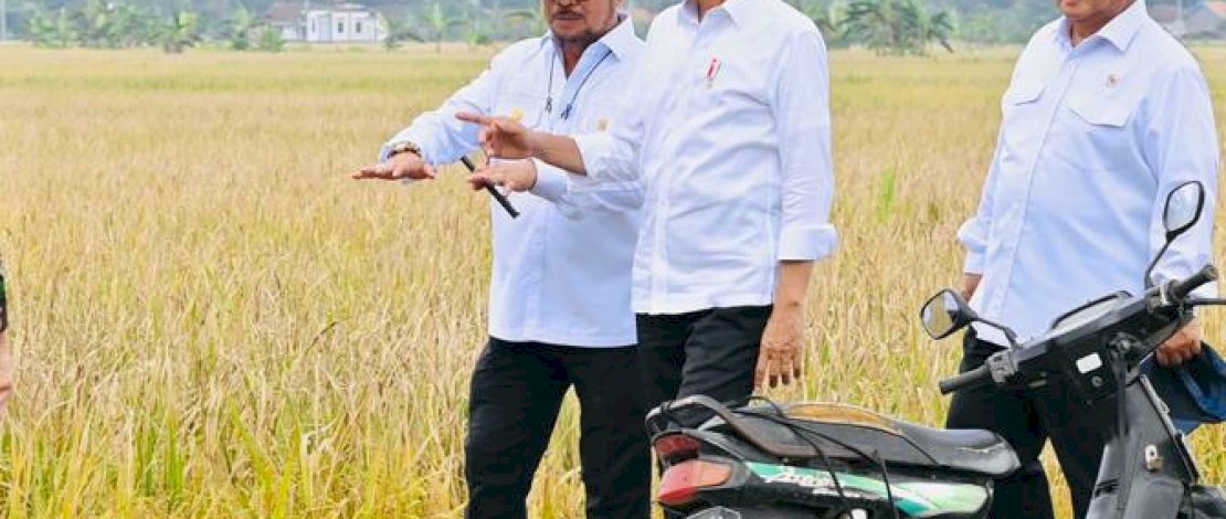 Presiden Joko Widodo (Jokowi) didampingi Menteri Pertanian Syahrul Yasin Limpo (Mentan SYL) dan sejumlah pejabat negara termasuk Gubernur Jawa Tengah Ganjar Pranowo baru saja melaksanakan panen raya di Kabupaten Kebumen, Jawa Tengah, Kamis, 9 Maret 2023.