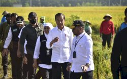Di Ngawi, Presiden Jokowi Didampingi Mentan SYL Panen Raya Padi 