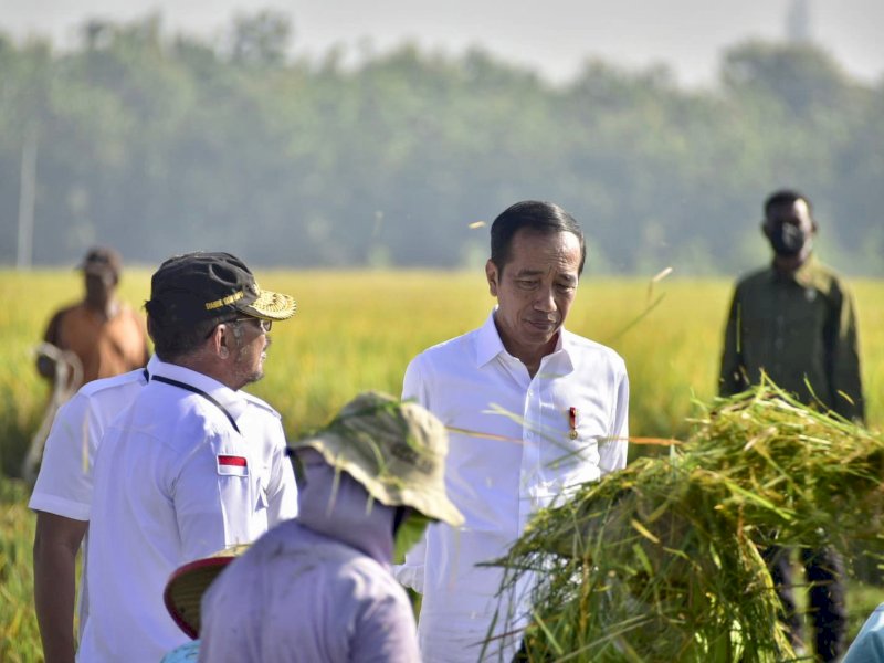 Panen Raya Nusantara, Presiden Jokowi Senang Produktivitas Tinggi