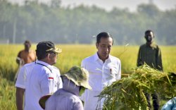 Panen Raya Nusantara, Presiden Jokowi Senang Produktivitas Tinggi